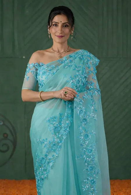 Sky blue Organza embroidery saree