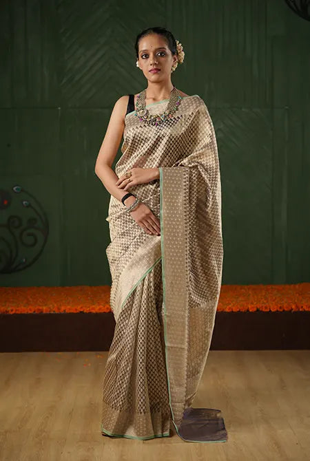 Copper Kora Organza Banarasi Saree
