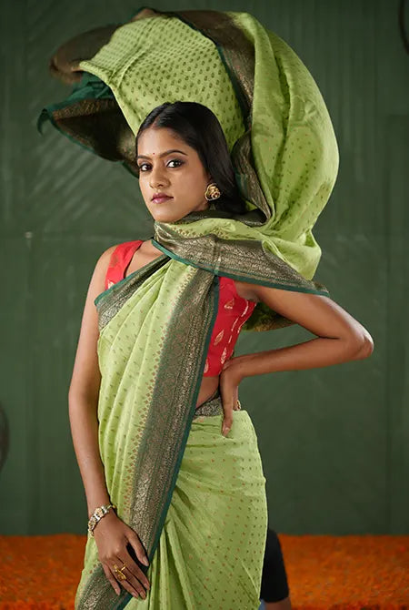 Green-dark green border crepe chiffon banarasi saree