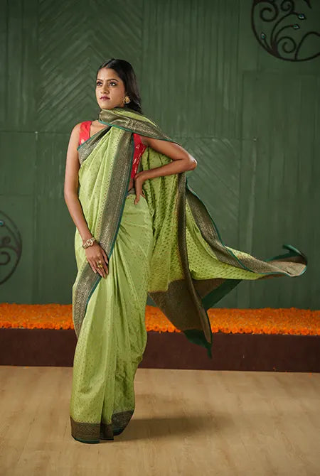 Green-dark green border crepe chiffon banarasi saree
